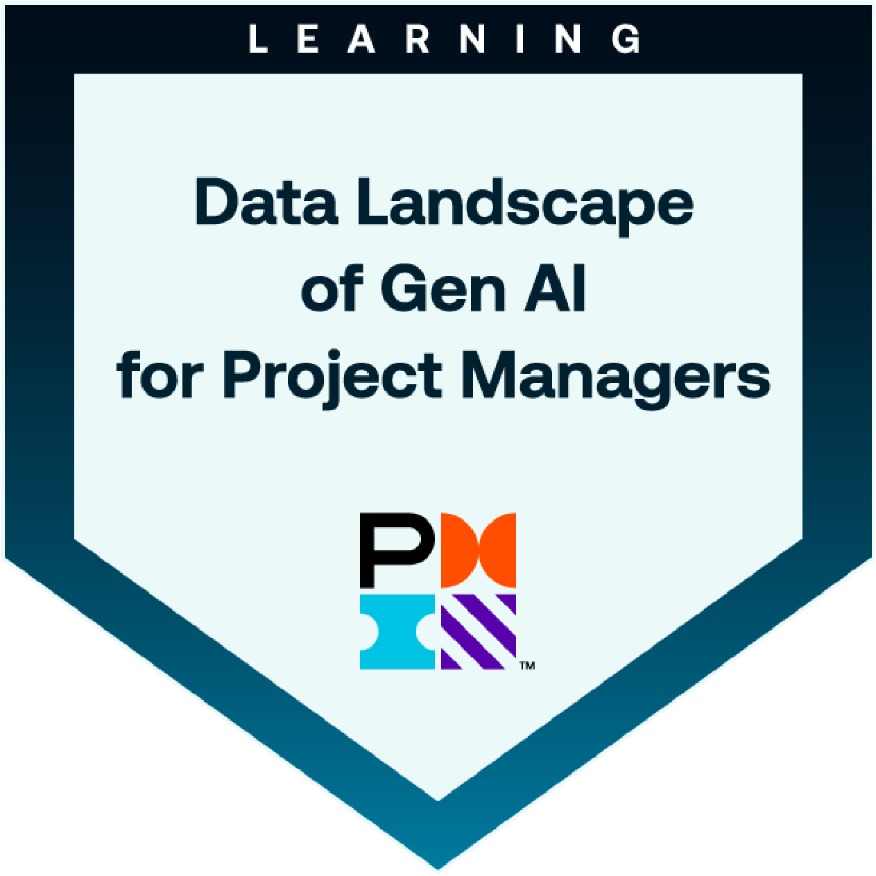 Data Landscape of GenAI for Project Managers