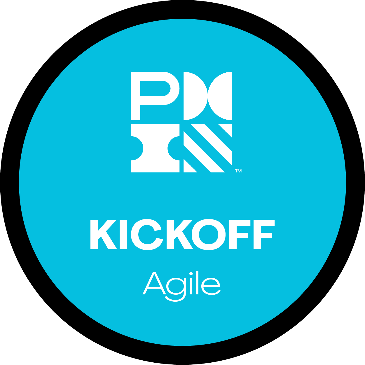 Fundamentals of Agile Project Management