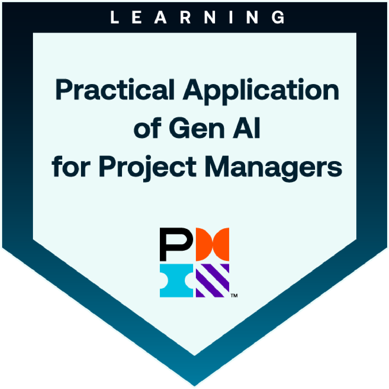 Practical Application of Gen AI for Project Managers