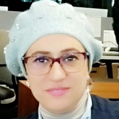 Mouna El Bez, Data Architect